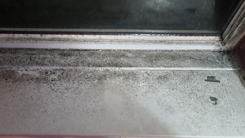 Mouldy on window sill