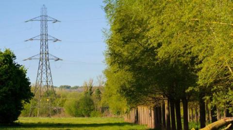 A pylon sits at the back of a field in the Cotswolds on a sunny day. To the right of the field, there is a neat line of trees. There is a large woodland behind the pylon.