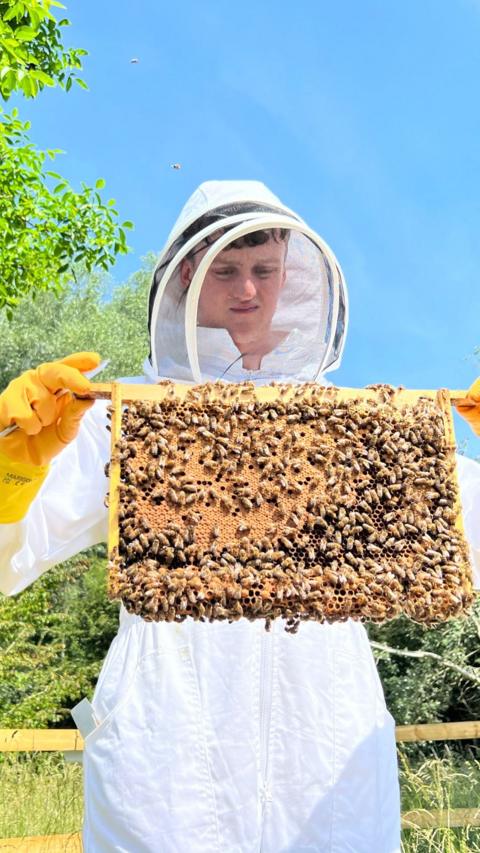 A man wearing a beekeepers outfit holding a comb of bees. There is a blue sky in the background.