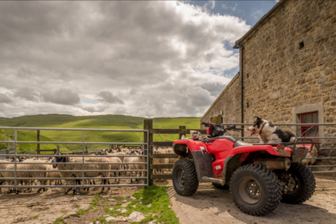 Red ATV vehicle with dog located at a farm