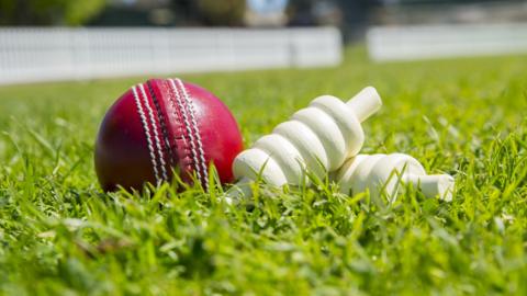 A cricket ball and some bails