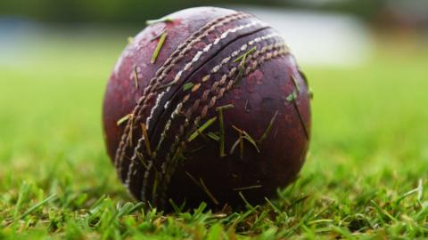 A cricket ball