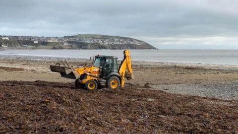 Digger cleaning debris built up on beach