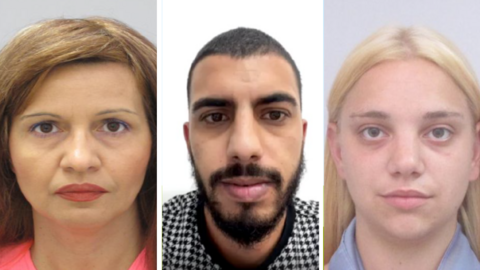 Tsvetka Todorova, Stoyan Stoyanov and Patritsia Paneva all pleaded guilty to various offences when they appeared at Wood Green Crown Court