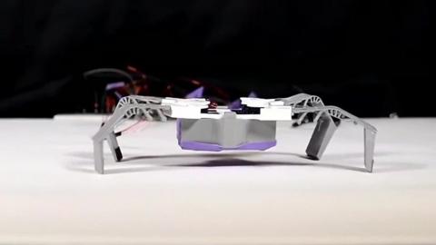 A 3D-printed robot