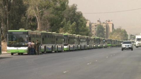 Buses lined up before entering Darayya.