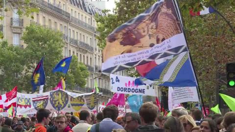 A crowd of protesters in Paris