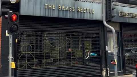 brass beetle