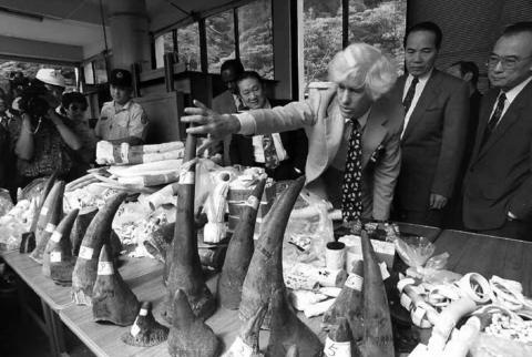 Esmond Bradley Martin (3rd R) inspects confiscated rhino horns, elephant tusks and ivory at Taipei Zoo