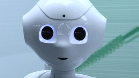 humanoid robot