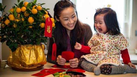 Woman decorating tangerine tree with red envelopes