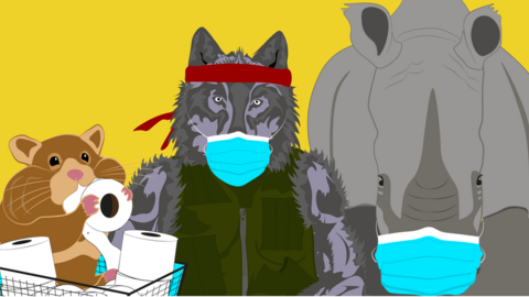 Image of a hamster eating toilet paper, a wolf with a mask and a bandana and a rhino with a mask