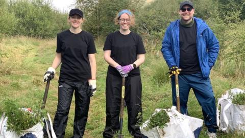 Tree planting