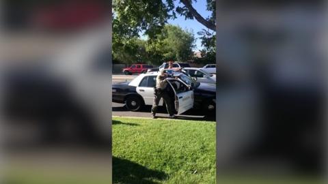 Police officers point weapons