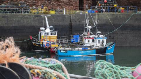 Fishing boats