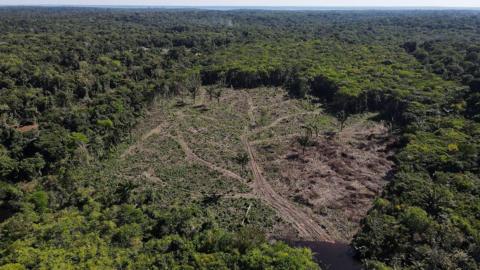 Aerial view of a deforested plot of the Amazon rainforest in Manaus. 8 July 2022.