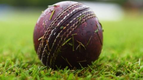 Cricket ball