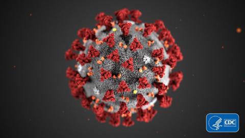 An illustration of the structure of coronaviruses such as the one behind the outbreak of illness in China