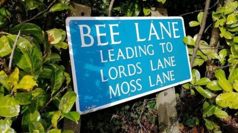Bee Lane
