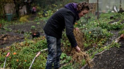 Community garden