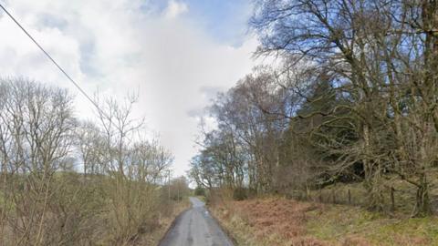 A narrow rural road lined by trees