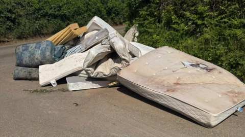 A pile of mattresses, including blue, brown and white ones. They are on a road near bushes. 