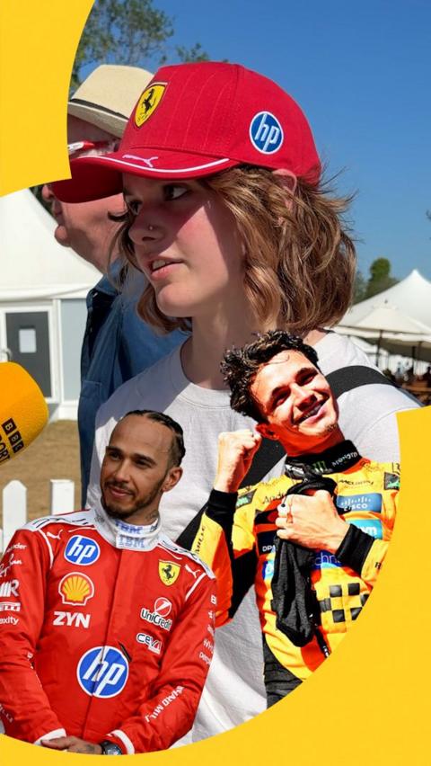 F1 fan with Hamilton and Norris
