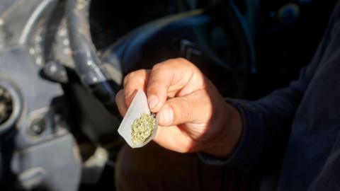 A close-up of a person's hand, holding a roll-up piece of paper with cannabis sprinkled inside. They are sitting at the wheel of a car.
