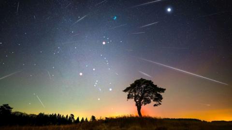 Meteors flash across the sky above a tree on a orange/yellow horizon