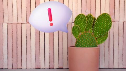 A potted cactus against a pink tiled wall emits an emoji speech bubble containing an excalamation mark