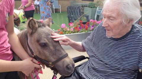 A resident of Deerhurst Care Home wearing a striped T-shirt, with white hair. The resident strokes the nose of a small brown pony in an outdoor communal area.