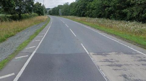 A two-lane road, with flowers and grass on each side 