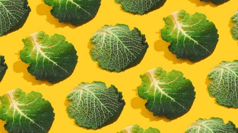 Lettuce leaves on a yellow background.