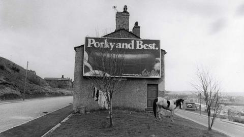 A black and white photo of a horse tethered on grass in front of the gable end of a house with an advertising poster on it with the slogan 'Porky and Best'. 