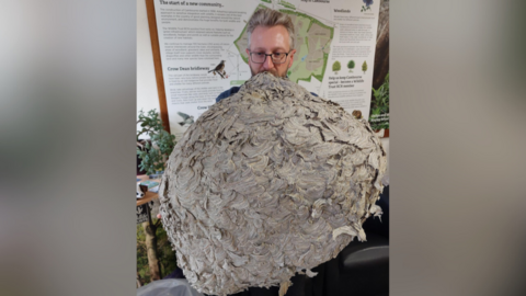 A man with light grey hair and black square frame glasses holding a giant wasps nest. The nest is so big it covers the man from the bottom of his nose to below his waist and also hides his arms and torso. The nest is a spherical shape and a light grey colour
