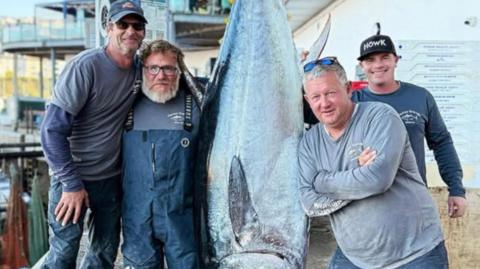 Four men around a big fish that is dangling. Two men are on each side of the grey fish and smiling. 
