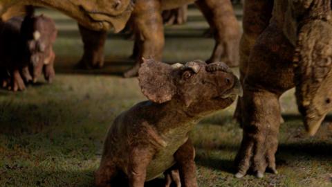 Young Pachyrhinosaurus looks up at its mother
