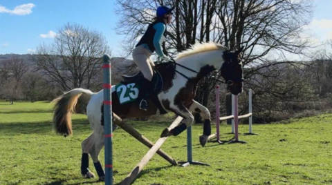 A brown and white horse with the number 23 on their side is going over two wooden beams at an angle. Trees and a blue sky are in the distance.