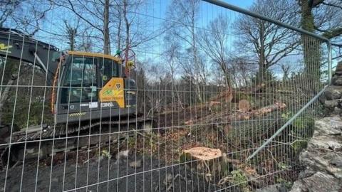 A bulldozer surrounded by cut down trees, with a fence in front of them.