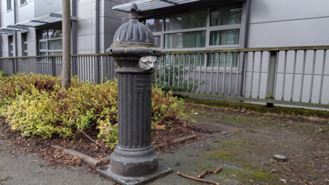 A black metal cylinder standing upright on a paved street in front of metal railings and a small bush, with a grey building behind it