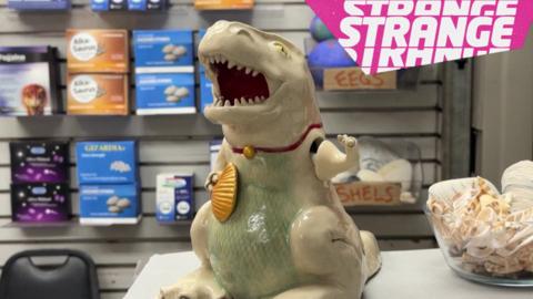A dinosaur model