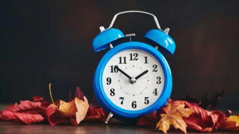 A blue alarm clock sitting amongst some autumn leaves 
