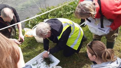 A group of five men and women stand on a river bank around a white tray containing water, soil, plant matter and insects. One person wearing a high-viz vest is kneeling on the grass pointing at something in the tray while the others look on.