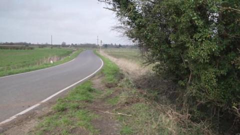A slight bend on a country road, blanked by fields on one side and a tree on the other. Tyre marks can be seen on the crash verge leading to the tree.