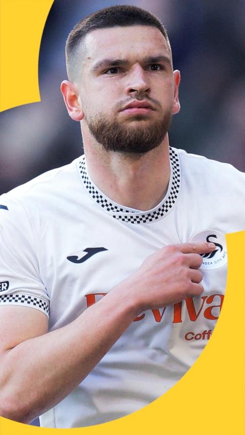 Swansea City striker Zan Vipotnik