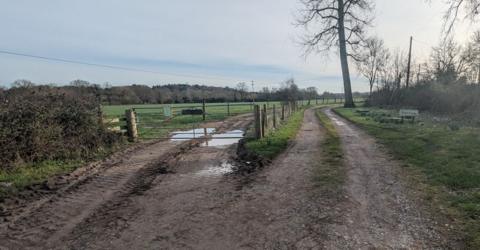 Two muddy tracks at Whyr Farm with a closed gate on the left.  There is a large tree on the route bending round to the right.