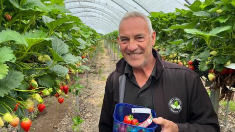 Steve Kember from Lower Ladysden Farm in Goudhurst holding a punnet of strawberries in a long polytunnel with plants on either side