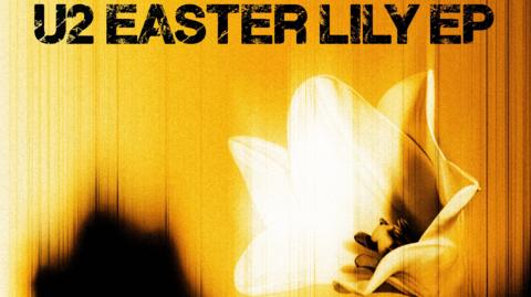 The picture shows the cover of U2's EP Easter Lily with a yellow background and a white flower 