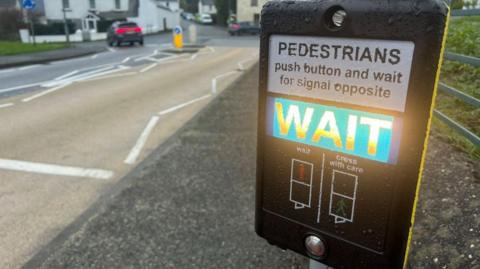 Close up image of the panel with the button for pedestrians to press with the word WAIT illuminated on it. the text above it reads: Pedestrians, push button and wait for signal opposite. 