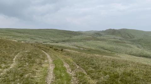 Llwybr y Mynaich